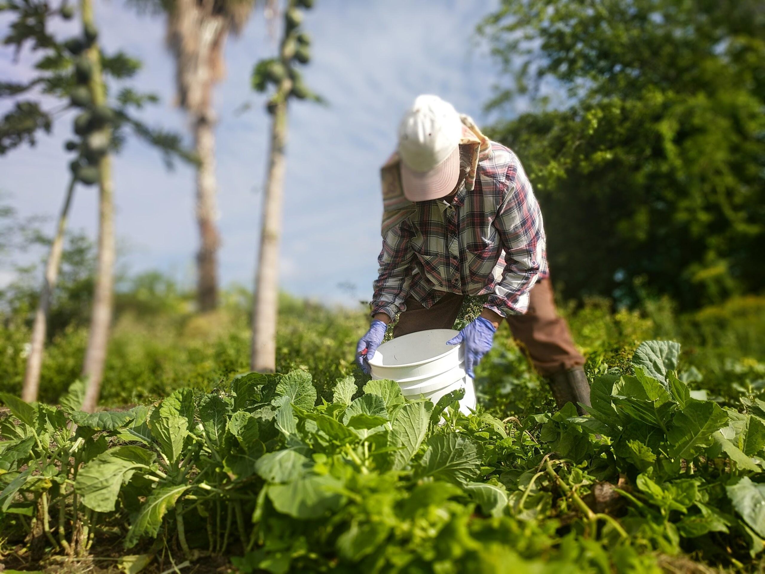 Wisconsin’s growing season arriving with uncertainty amid USDA cuts, tariffs