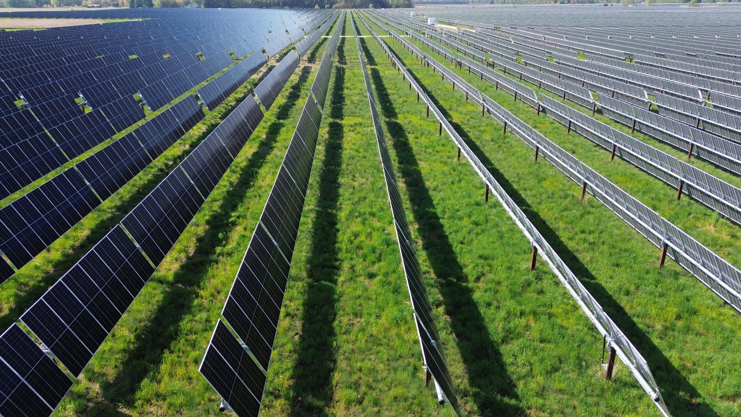 Trump tariffs expected to increase costs, limit options for Wisconsin solar